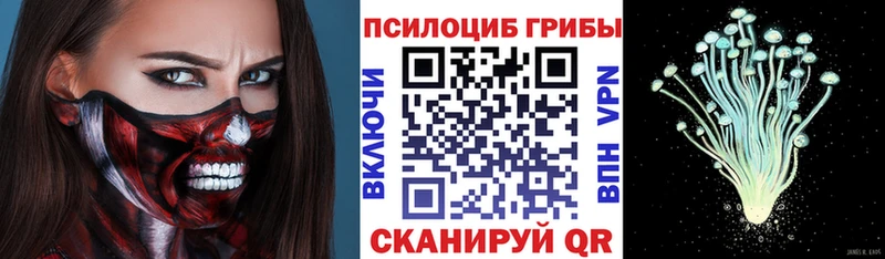ОМГ ОМГ как зайти  Черепаново  Псилоцибиновые грибы мицелий 